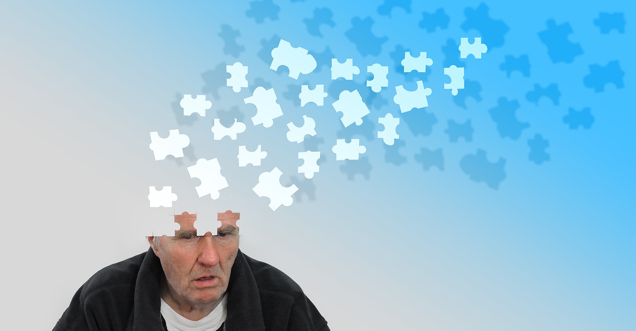 France alzheimer