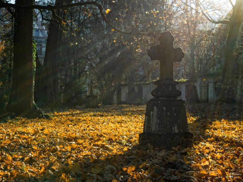 Cimetière paysager Classé