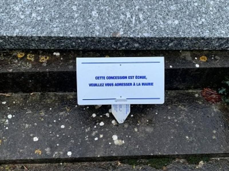 Plaque