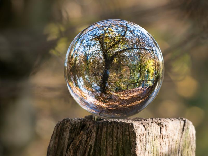 Environnement